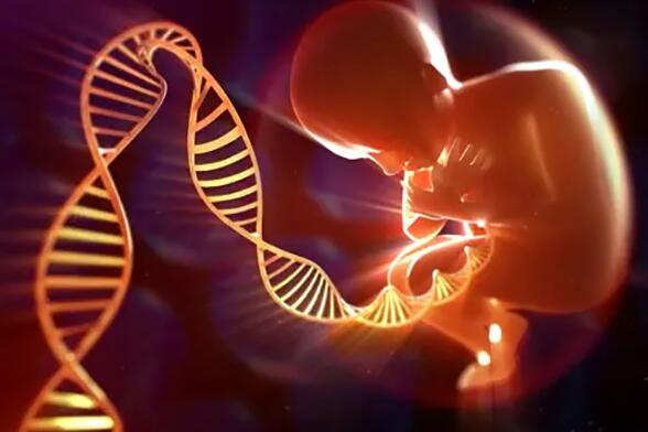 什么是試管嬰兒 什么是試管嬰兒