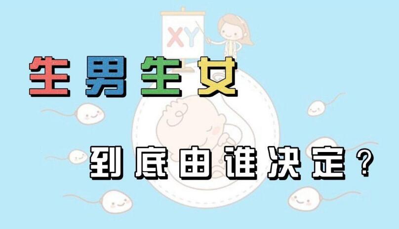 生男生女由誰決定