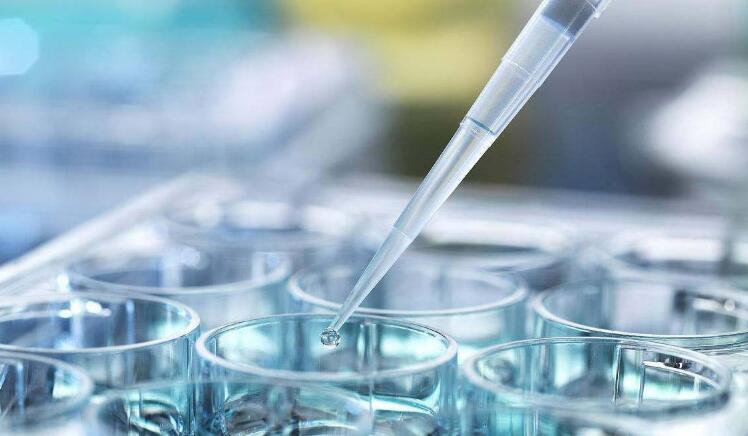 試管嬰兒的成功率是多少？