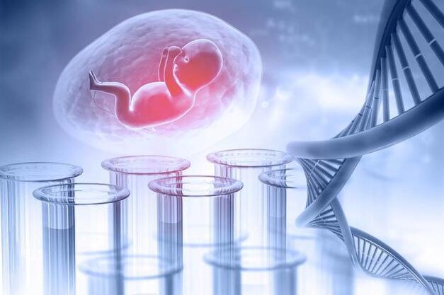 2023年石家莊住院保胎保費是多少 2023年石家莊住院保胎保費是多少