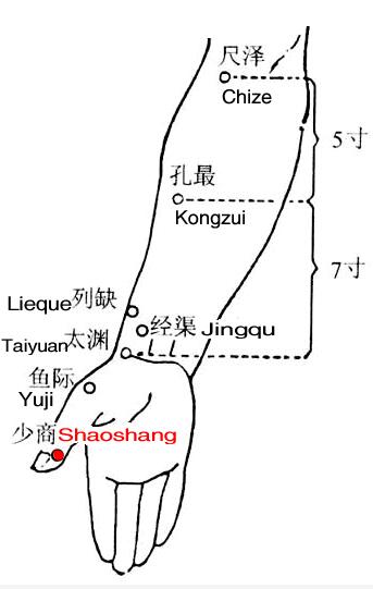 少商穴 少商穴