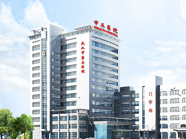武漢市第五醫院